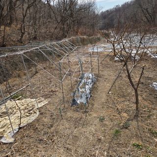 양배추21889님의 자유주제 · 자유게시판 작성글 사진