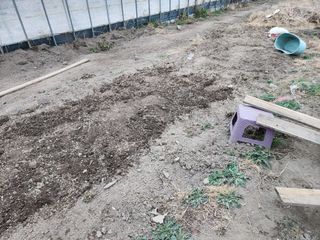 이창신님의 자유주제 · 자유게시판 작성글 사진