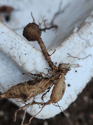 이창신님의 자유주제 · 자유게시판 작성글 사진