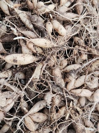 이창신님의 자유주제 · 자유게시판 작성글 사진