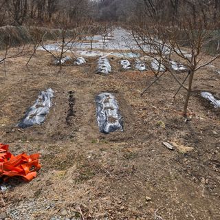 양배추21889님의 자유주제 · 자유게시판 작성글 사진