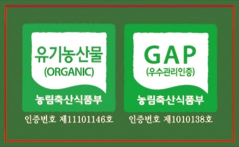 홍천산채농원님의 장터 판매 상품 [부지깽이(섬쑥부쟁이)모종] 첨부 사진