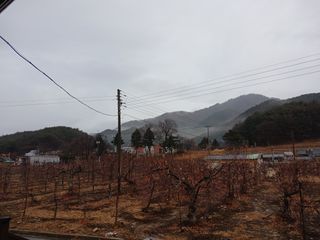 알 수 없음님의 자유주제 · 자유게시판 작성글 사진