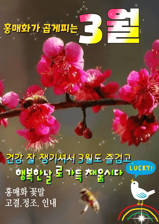 최재만님의 자유주제 · 자유게시판 작성글 사진