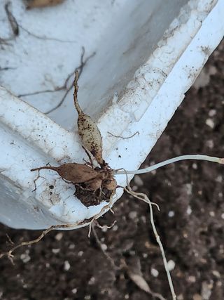 이창신님의 자유주제 · 자유게시판 작성글 사진