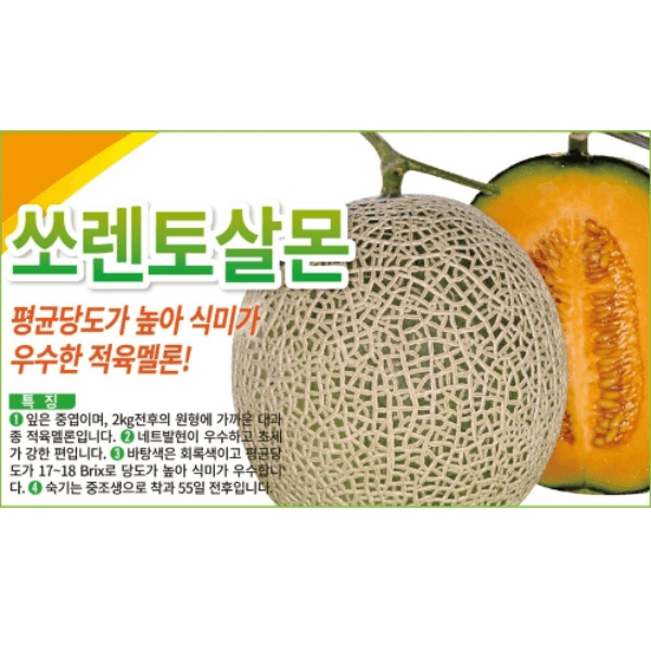 장터 상품 [농업마켓365 아시아종묘 멜론 쏘렌토살몬 10립 종자 씨앗 텃밭 주말농장 메론 멜론] 썸네일