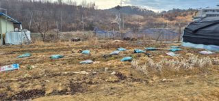 힐링농장님의 자유주제 · 자유게시판 작성글 사진