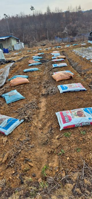 힐링농장님의 자유주제 · 자유게시판 작성글 사진