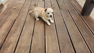 정미리님의 자유주제 · 자유게시판 작성글 사진