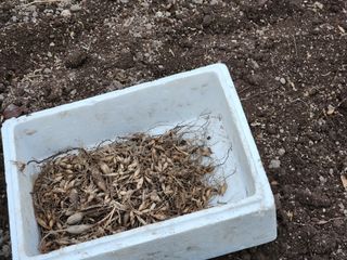 이창신님의 자유주제 · 자유게시판 작성글 사진