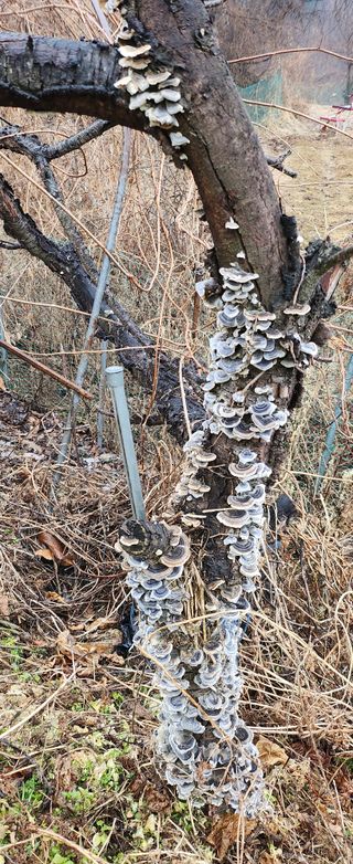 동동이님의 자유주제 · 자유게시판 작성글 사진