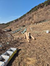 팜모닝 농사, 무엇이든 물어보세요!·참여글 게시글 이미지