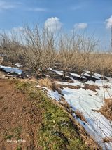 팜모닝 자유주제·자유게시판 게시글 이미지