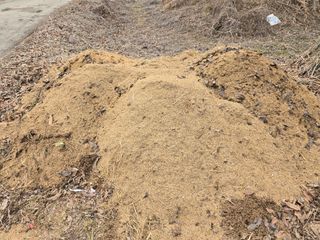 한상훈님의 자유주제 · 자유게시판 작성글 사진