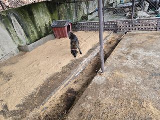 한상훈님의 자유주제 · 자유게시판 작성글 사진