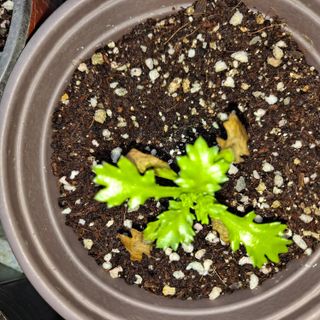 임지묵님의 농사, 무엇이든 물어보세요! · 참여글 작성글 사진