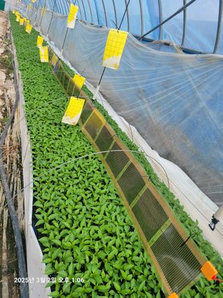 이동훈님의 자유주제 · 자유게시판 작성글 사진