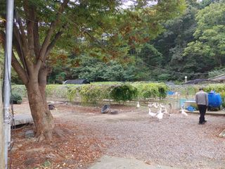 시금치15102님의 작성글 사진