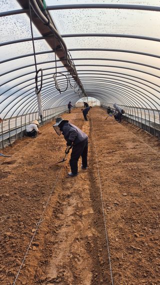 김동수님의 자유주제 · 자유게시판 작성글 사진