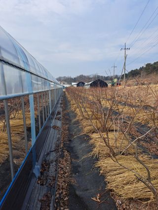 이재국님의 자유주제 · 자유게시판 작성글 사진