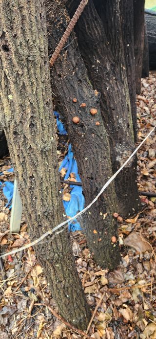 최군환님의 자유주제 · 자유게시판 작성글 사진