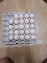 팜모닝 · 게시글 이미지