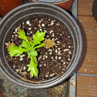 임지묵님의 농사, 무엇이든 물어보세요! · 참여글 작성글 사진