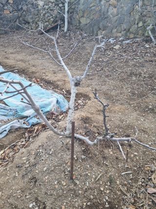 김용대님의 자유주제 · 자유게시판 작성글 사진