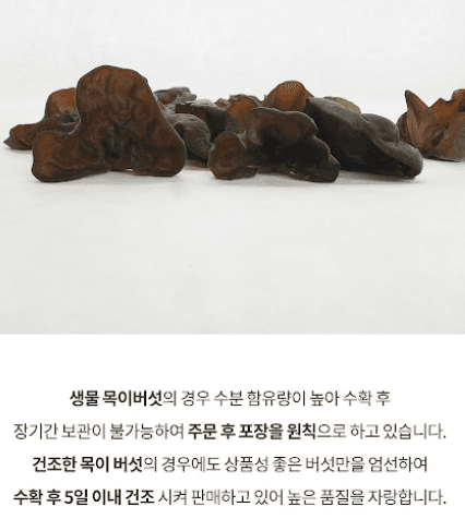 스피드번님의 장터 판매 상품 [목이버섯 (생물,건물)] 첨부 사진
