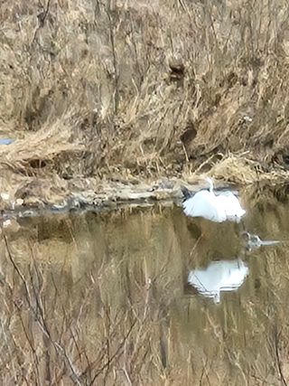 김상진님의 자유주제 · 자유게시판 작성글 사진