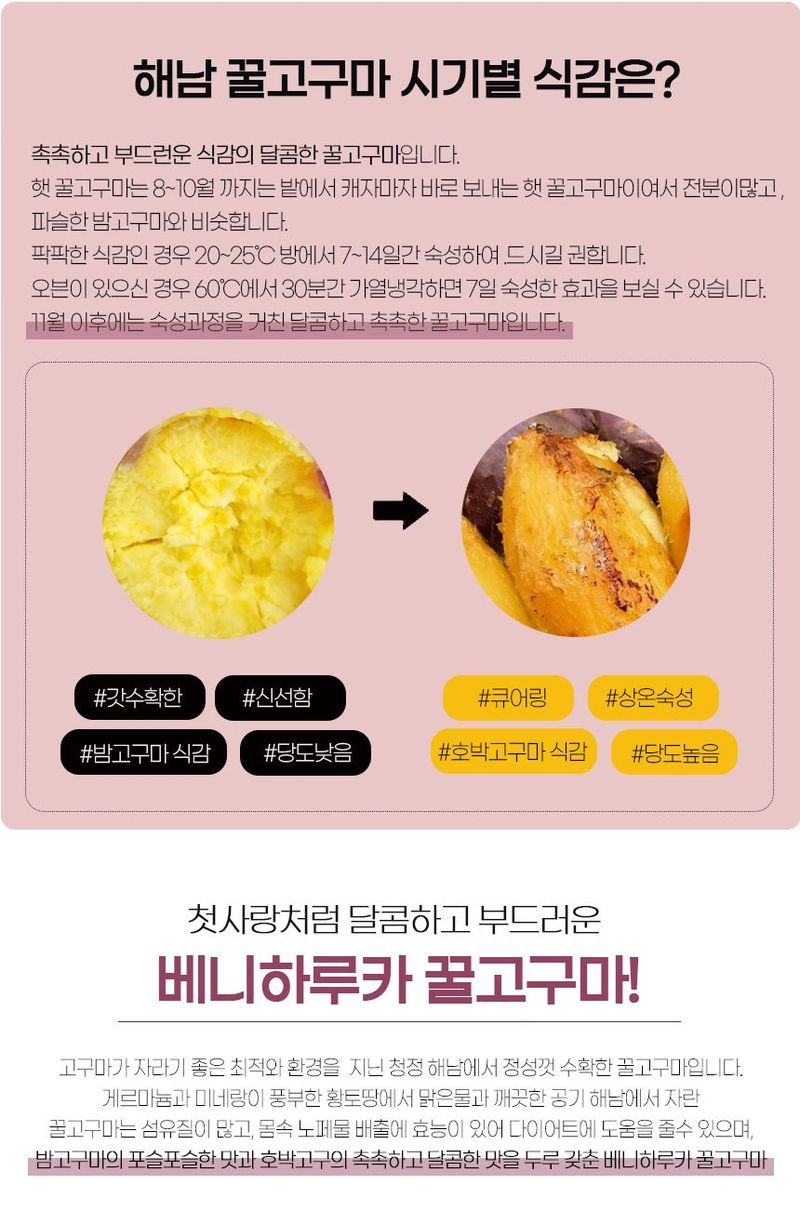 초록미소 금호농장님의 장터 판매 상품 [금호농장 해남 친환경 무농약 세척 꿀고구마 베니하루카 3kg 5kg 10kg 판매합니다.] 첨부 사진