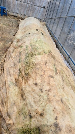 김흥환 님의 자유주제 · 자유게시판 작성글 사진