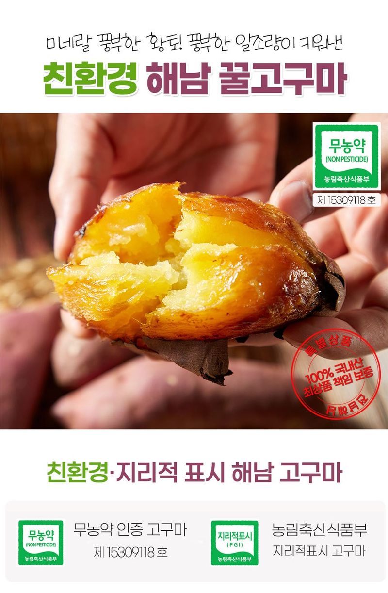 초록미소 금호농장님의 장터 판매 상품 [금호농장 해남 친환경 무농약 세척 꿀고구마 베니하루카 3kg 5kg 10kg 판매합니다.] 첨부 사진