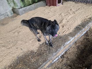 한상훈님의 자유주제 · 자유게시판 작성글 사진