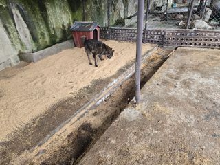 한상훈님의 자유주제 · 자유게시판 작성글 사진