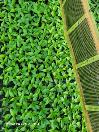 이동훈님의 자유주제 · 자유게시판 작성글 사진