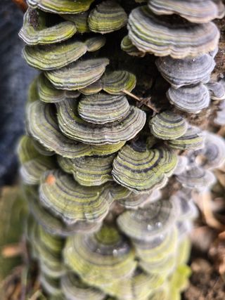 김성환님의 자유주제 · 자유게시판 작성글 사진