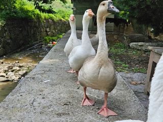 시금치15102님의 작성글 사진