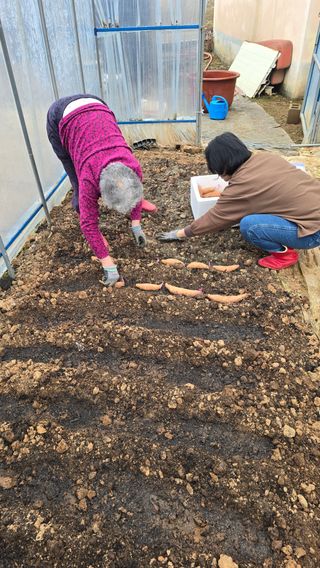김흥환 님의 자유주제 · 자유게시판 작성글 사진