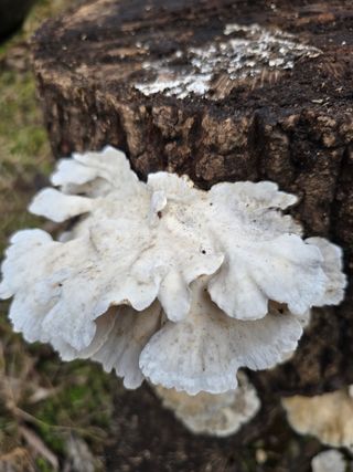 김성환님의 자유주제 · 자유게시판 작성글 사진