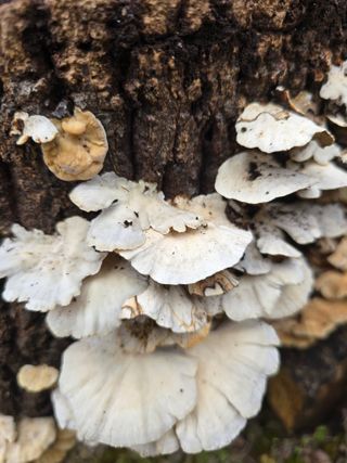 김성환님의 자유주제 · 자유게시판 작성글 사진