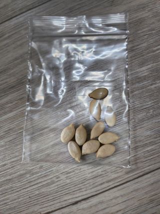 성낙신 님의 작성글 사진