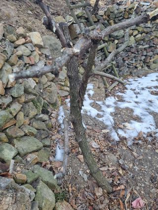 김용대님의 자유주제 · 자유게시판 작성글 사진