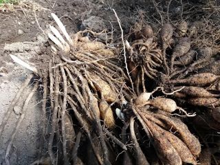 이창신님의 자유주제 · 자유게시판 작성글 사진