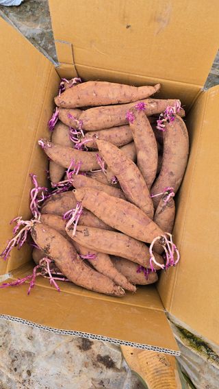 김흥환 님의 자유주제 · 자유게시판 작성글 사진