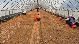 김동수님의 자유주제 · 자유게시판 작성글 사진