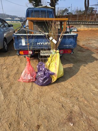 자연인님의 자유주제 · 자유게시판 작성글 사진