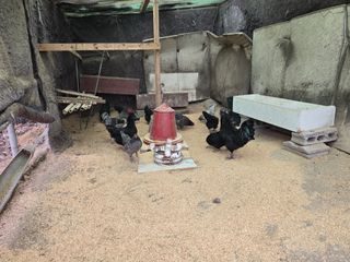 한상훈님의 자유주제 · 자유게시판 작성글 사진