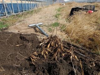 이창신님의 자유주제 · 자유게시판 작성글 사진