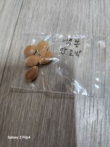 팜모닝 · 게시글 이미지